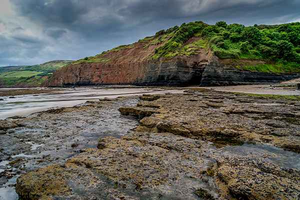Best Places to Spot Yorkshire’s Amazing Wildlife
