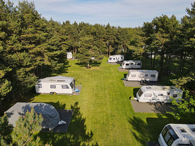 Ladycross Plantation