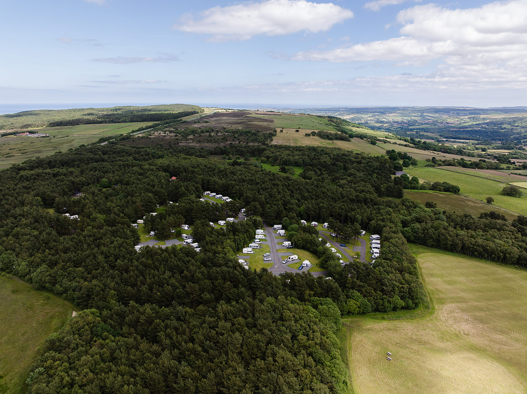 Ladycross Plantation